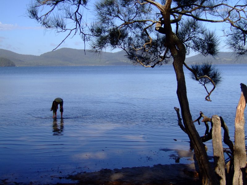 Travel - Australia - Dery Pictures Bush Party - The Lake near Forster
